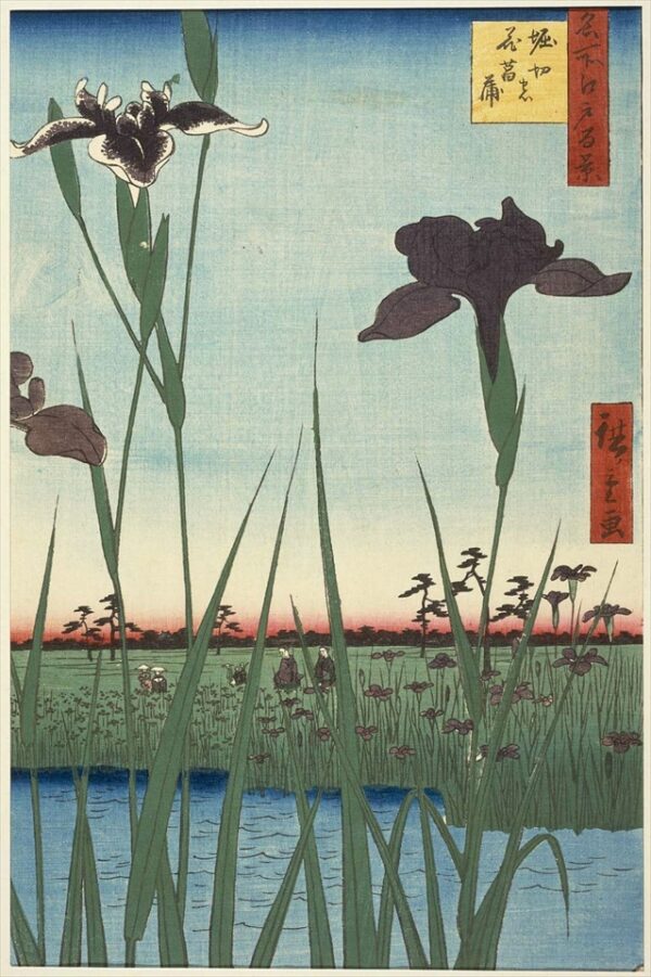 The examples of haiku poems about flowers Masterpieces of Japanese