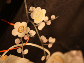 800px-Kimono_detail_2