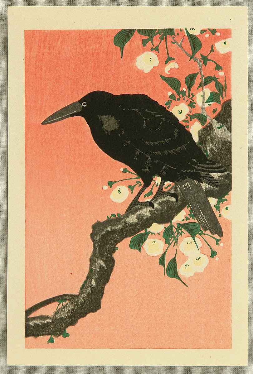 Crow and Cherry Blossoms