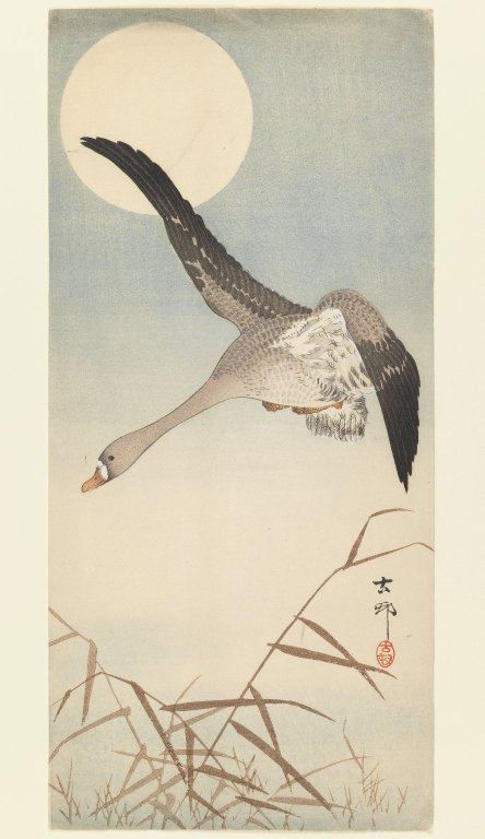 Goose Flying in Moonlight