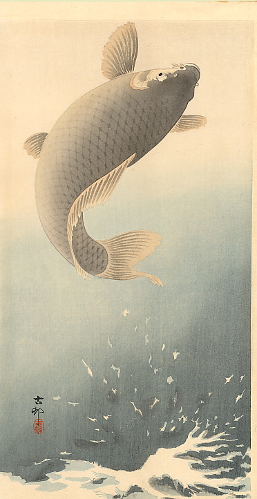 Leaping Carp