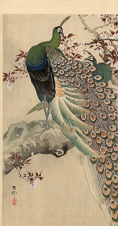 two-green-peacocks-on-the-bough-of-a-flowering-tree