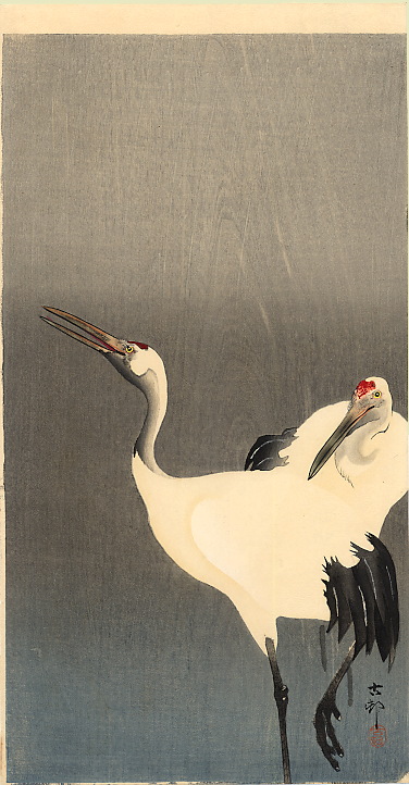 two-white-cranes