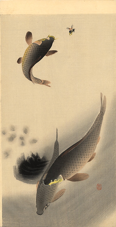 Carp and Bee