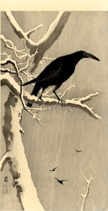 Crow on a Snowy Branch