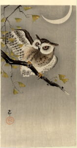 Owl on ginkgo branch