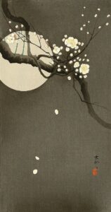 Plum Blossoms before Moon