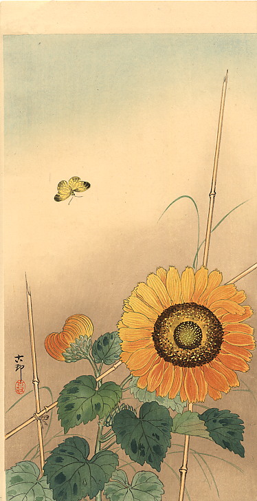 Small butterfly and sunflower