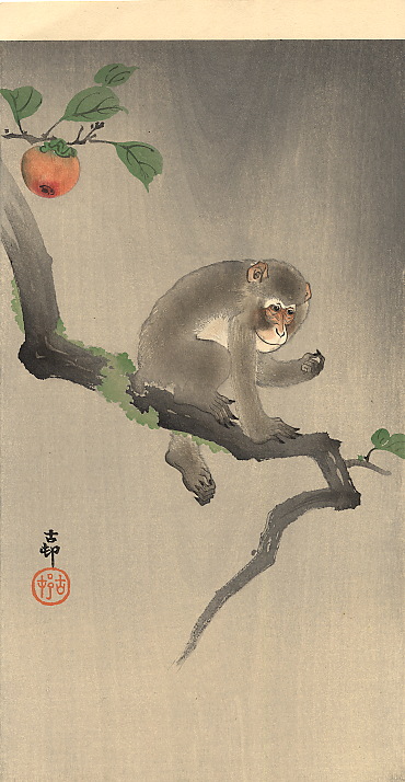 Monkey on the tree